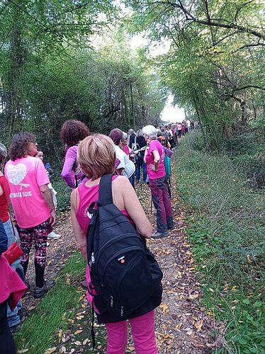 randonnée octobre rose 12 octobre 2025